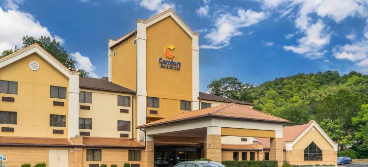 勒维尔坎伯兰舒适套房酒店(Comfort Inn & Suites LaVale - Cumberland)图片