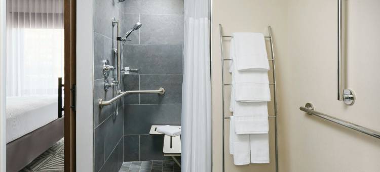 SpringHill套房马里奥特纽约曼哈顿/切尔西(SpringHill Suites New York Manhattan/Chelsea)图片