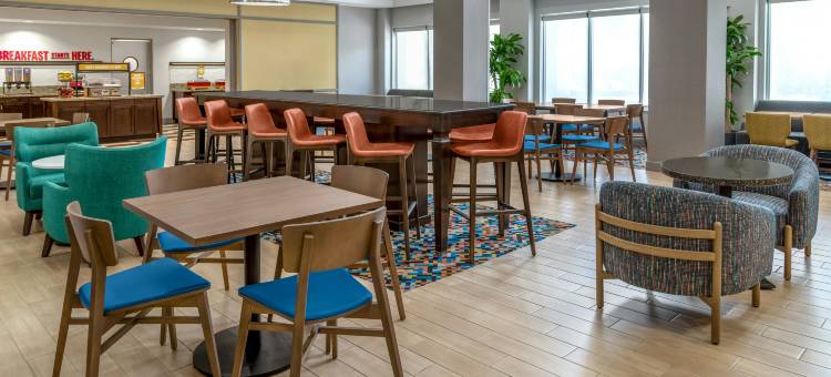 椰子溪欢朋套房酒店(Hampton Inn & Suites Coconut Creek)图片