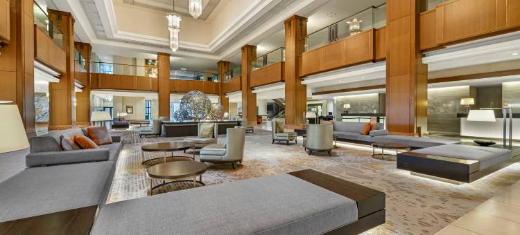 小田原市海湾森林希尔顿俱乐部(The Bay Forest Odawara by Hilton Club)图片