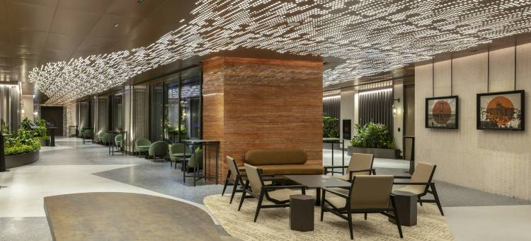 希尔顿伊斯坦布尔机场酒店(Hilton Istanbul Airport)图片