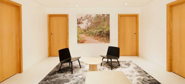 艺术屋巴塞尔酒店 - 设计酒店会员酒店(Art House Basel - Member of Design Hotels)图片