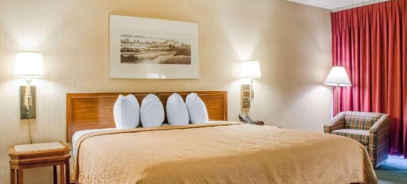 品质套房酒店(Quality Inn & Suites Burnham, PA)图片