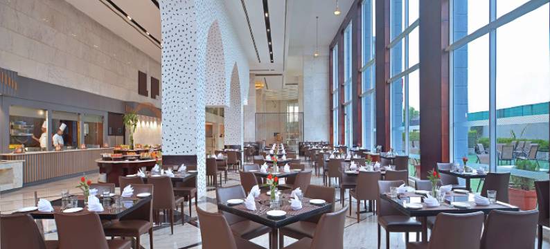 阿格拉丽笙酒店(Radisson Hotel Agra)图片