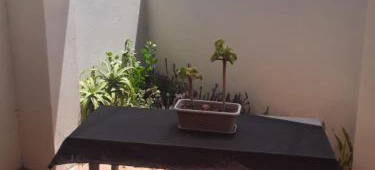 麦克拉伦自助餐公寓(Mclaren Self Catering)图片