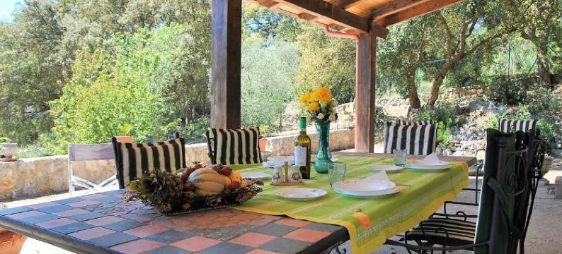 Villa Cycas Relaxation in Nature图片