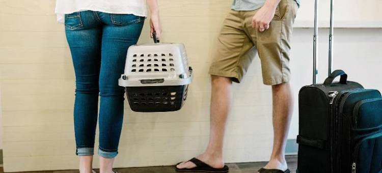 美国长住精选套房酒店-迪尔菲尔德海滩(Extended Stay America Select Suites - Deerfield Beach)图片