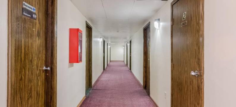 OYO伊利诺伊莫顿皮奥里亚I-74酒店(OYO Hotel Morton East Peoria I-74)图片