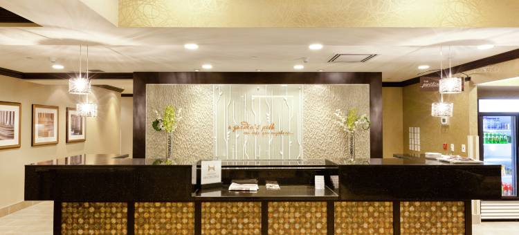 多伦多布兰普顿希尔顿花园旅馆(Hilton Garden Inn Toronto/Brampton)图片