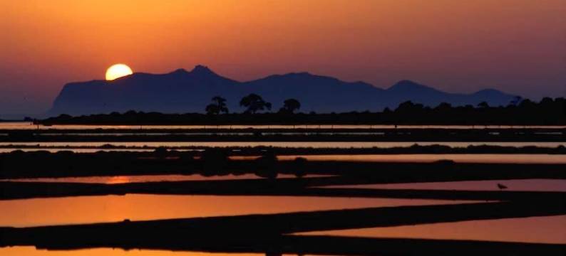 伊索拉迪莫萨酒店(Hotel Isola di Mozia)图片