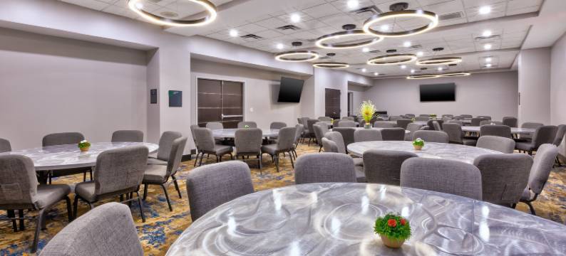 库克维尔假日酒店(Holiday Inn COOKEVILLE by IHG)图片