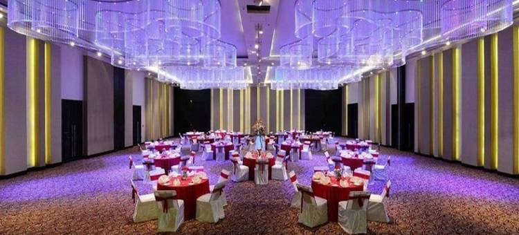 拉普萨亚吉酒店(Sayaji Raipur)图片