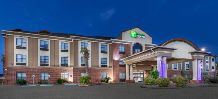 智选假日套房酒店维多南(Holiday Inn Express & Suites Vidor South)图片