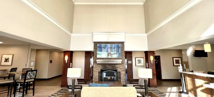 Staybridge Suites 底特律 - 诺维 by IHG(Staybridge Suites Detroit - Novi)图片