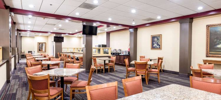 底特律大都会机场克拉丽奥酒店(Clarion Hotel Detroit Metro Airport)图片