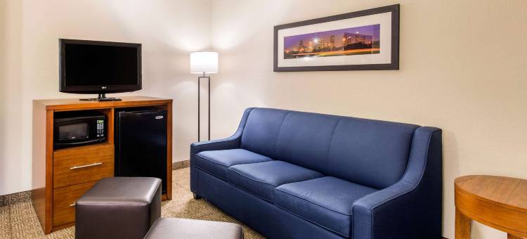 IAH布什机场-东舒适套房酒店(Comfort Inn & Suites IAH Bush Airport - East)图片