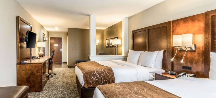 舒适套房酒店(Comfort Suites)图片