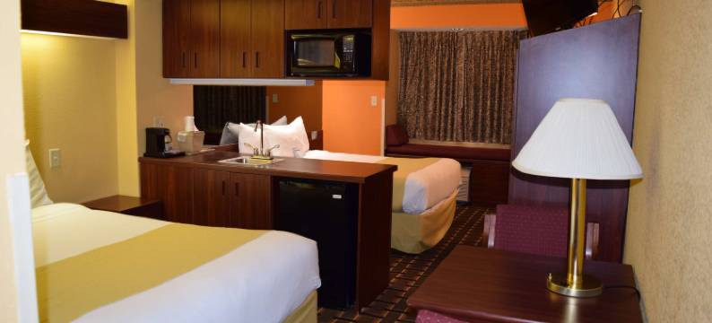 岩石丘/夏洛特地区麦客达套房酒店(Microtel Inn & Suites by Wyndham Rock Hill/Charlotte Area)图片