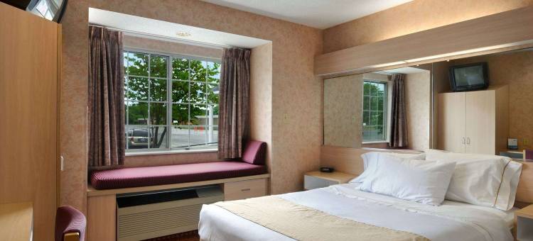 鲍德温斯维尔-锡拉丘兹麦客达套房酒店(Microtel Inn & Suites by Wyndham Baldwinsville/Syracuse)图片