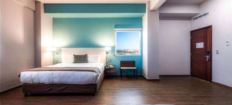 洛斯卡波斯舒适套房酒店(Comfort Inn & Suites Los Cabos)图片
