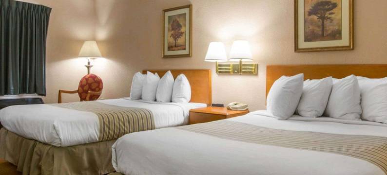 福特摩尔伊克诺旅馆及套房(Econo Lodge Inn & Suites Columbus Near Fort Benning)图片