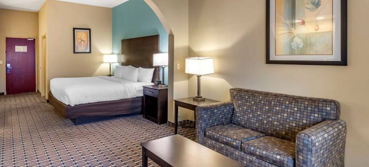 克洛维斯北部的舒适套房酒店(Comfort Suites Clovis North)图片