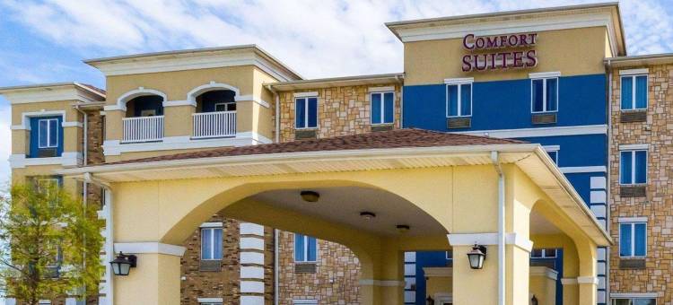 科珀斯克里斯蒂中央舒适套房酒店(Comfort Suites Central)图片