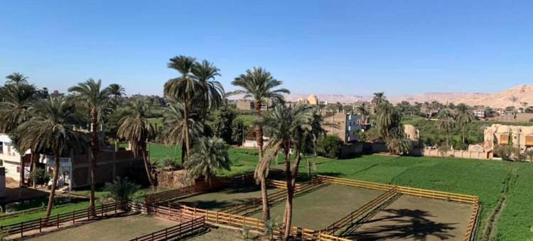 卢克索克娄巴特拉酒店(Cleopatra Hotel Luxor)图片