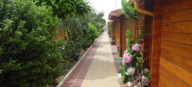 大道青年旅舍(Hostal Gran Avenida)图片