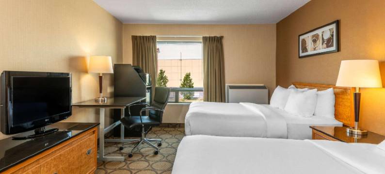 舒适酒店(Comfort Inn)图片