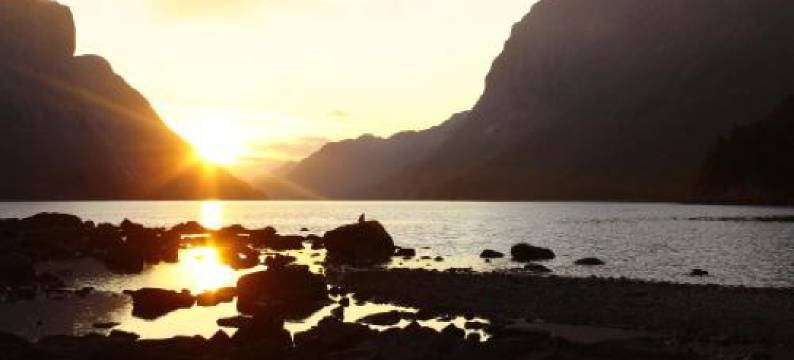 瓦斯内露营酒店(Wathne Camping)图片