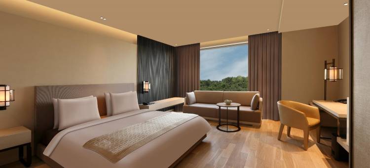 新德里玫瑰园酒店(Roseate House New Delhi)图片