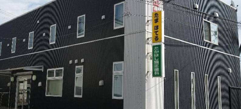 多摩酒店(Tama Hotel)图片