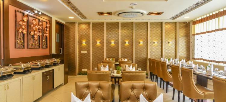 太阳城广场酒店(Hotel Suncity Plaza, Sitapura, Jaipur)图片