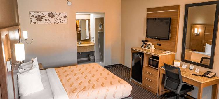凯艺套房酒店(Quality Inn & Suites Near Six Flags - Austell)图片