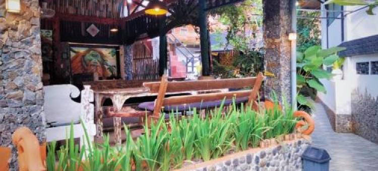 Jungle Inn Bukit Lawang图片