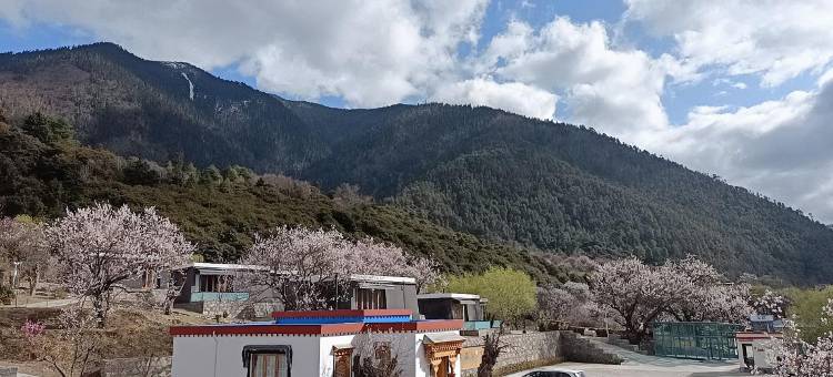花筑·则拉岗宗别墅区(林芝米林机场店)图片
