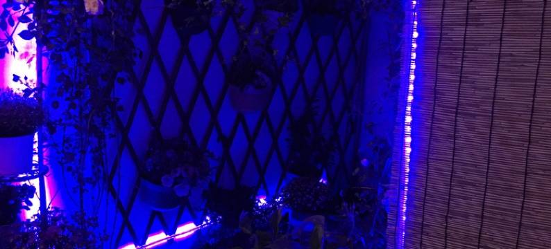 劳动很可爱公寓(箍桶巷1号分店)图片