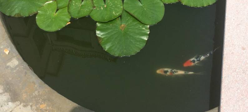 荣成手牵手1公寓图片