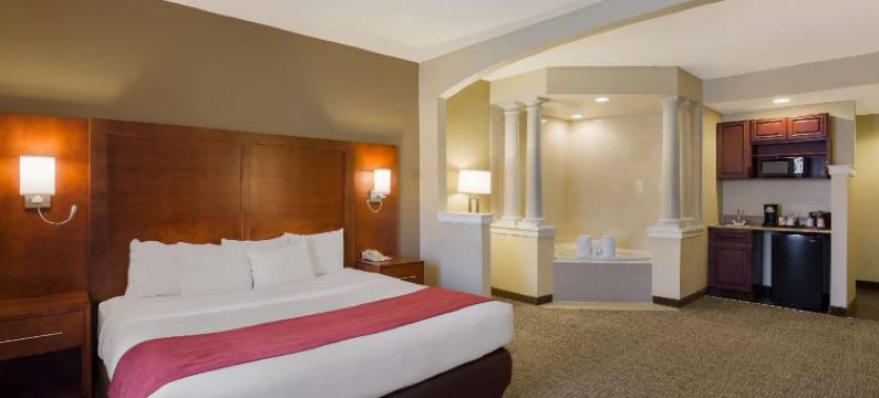 大学附近舒适套房酒店(Comfort Suites Near University)图片