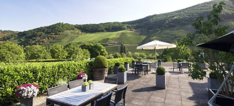 克瑞斯特卡鲁赛瑞塔酿酒厂和旅馆(Gästehaus Mit Weitblick im Weingut Christoph Clüsserath Und Bernhard Eifel)图片
