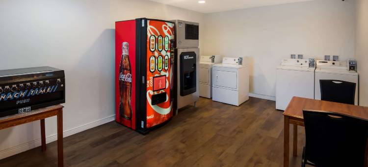 巴西郊区工作室(Suburban Studios Brazil)图片