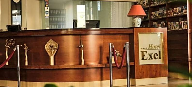 埃克塞尔酒店(Hotel Exel)图片