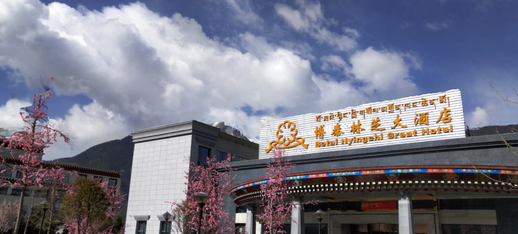博泰林芝大酒店图片