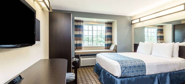 斯普林希尔麦客达温德姆酒店/威基沃奇(Microtel Inn & Suites by Wyndham Spring Hill/Weeki Wachee)图片