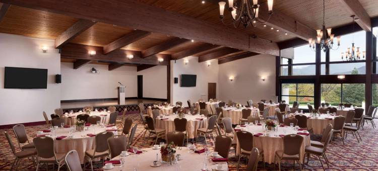 州立学院温德姆花园酒店(Wyndham Garden State College)图片