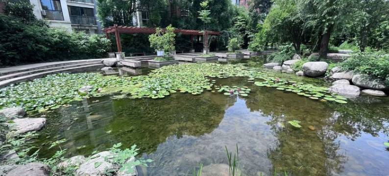 湖景山色民宿(广场四街分店)图片