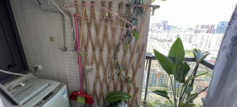 懒懒猫公寓(棕景路分店)图片