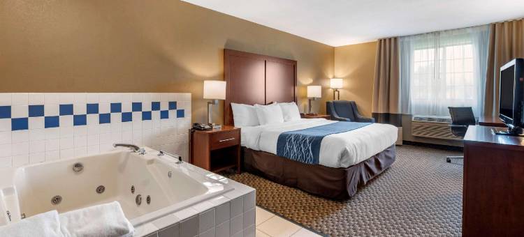 舒适套房酒店(Comfort Inn & Suites Napoleon)图片