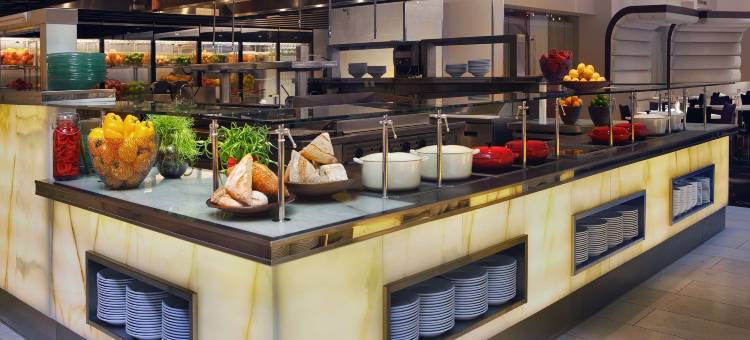 凯悦雷根西奥黑尔芝加哥(Hyatt Regency O'Hare Chicago)图片